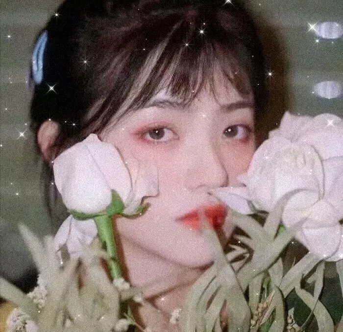 我的师兄惹不起