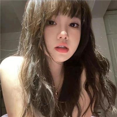 夏绿蒂的网